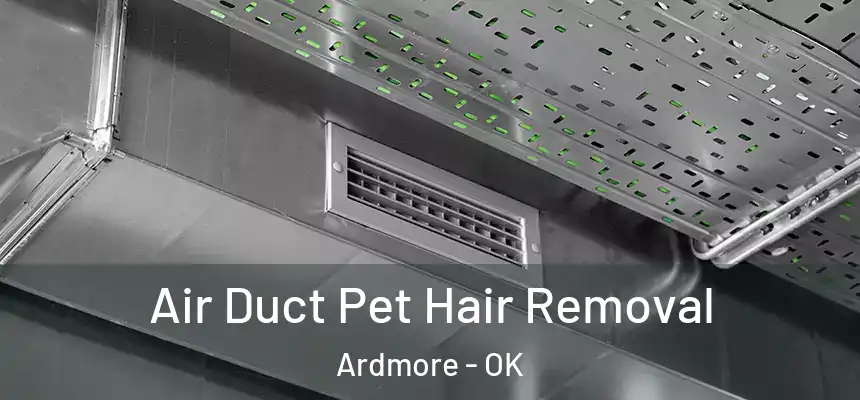 Air Duct Pet Hair Removal Ardmore - OK