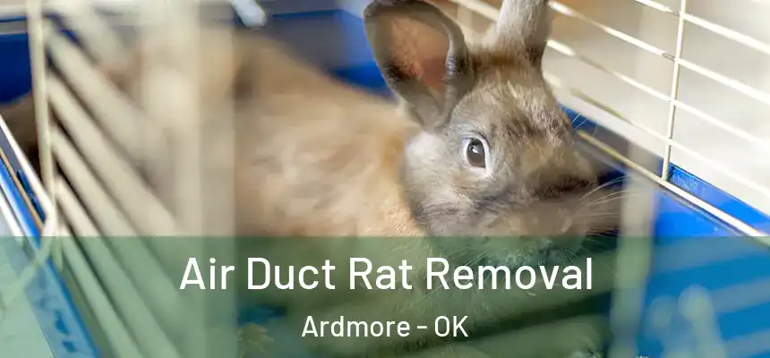  Air Duct Rat Removal Ardmore - OK