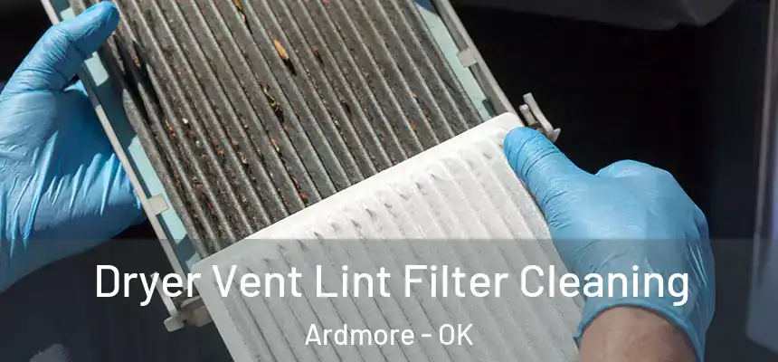 Dryer Vent Lint Filter Cleaning Ardmore - OK