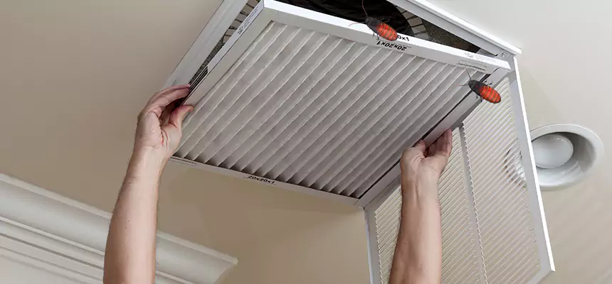 Our Insect Removal from Air Ducts Services in Ardmore, OK