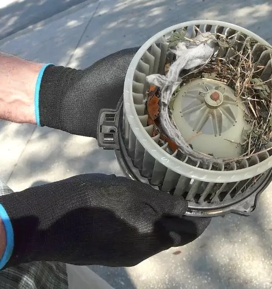 About Air Duct Rat Removal in Ardmore, OK