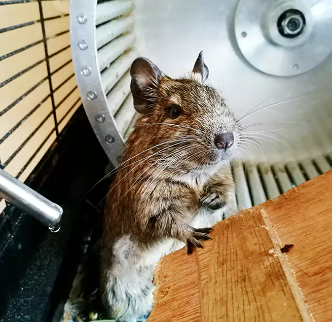 Why Homeowners & Businesses Trust Us Ardmore, OK